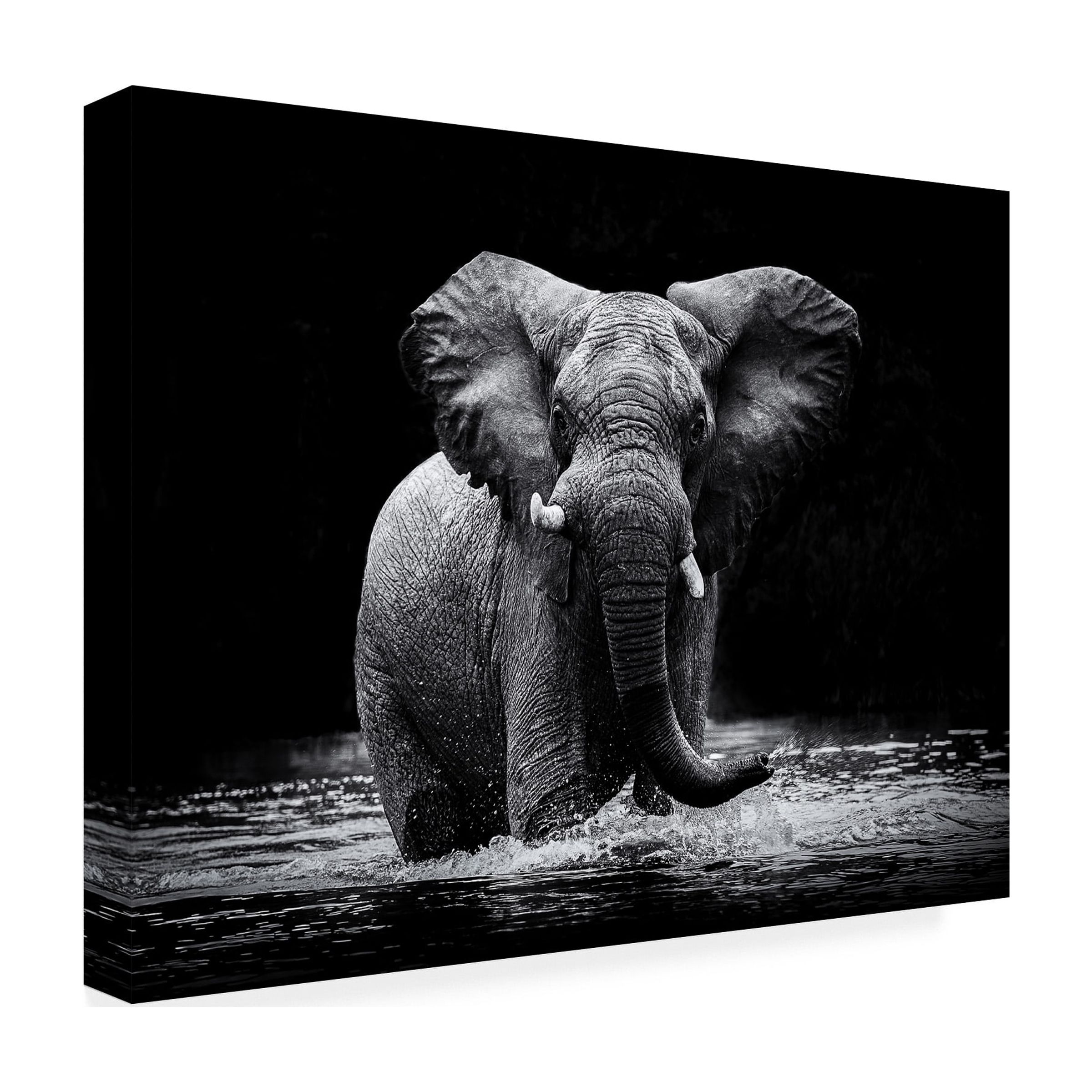 Gorazd Golob 'Power 1' Canvas Art