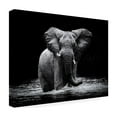 thumbnail image 4 of Gorazd Golob 'Power 1' Canvas Art, 4 of 4