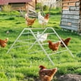 thumbnail image 3 of Metal Chicken Perch with Swing & Ladder - Heavy Duty Roosting Bar Gym for 10-12 Chickens, Grey, 3 of 6