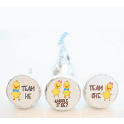 Waddle it Be Baby Duck Gender Reveal Chocolate Candy Stickers - 108 stickers - Baby Shower Party Favors - LABELS ONLY - WAD001