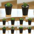 thumbnail image 1 of Gwong Decoración hogareña 1 Set Simulation Bonsai Anti-Fading Aftiles a prueba de golpes Faux Suculenta Plantas Potted Decoración de escritorio Gwong 21082696, 1 of 6