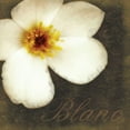 thumbnail image 2 of Gibbons, Lauren 15x15 White Modern Wood Framed Museum Art Print Titled - Blanc Flower, 2 of 4