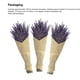 thumbnail image 5 of Ramo de flores decorativas de lavanda seca Cateissary 50 gramos, 5 of 6