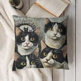 thumbnail image 3 of YINGXI Cat Mom Cat Dad Gift，I Work Hard so My cat can Have a Better Life，Cat Lover Gifts for Men or Women，Great Gift for Cat Lovers，Pet Lovers Birthday Gift，Flannel Pillow Covers 12x12in, 3 of 5