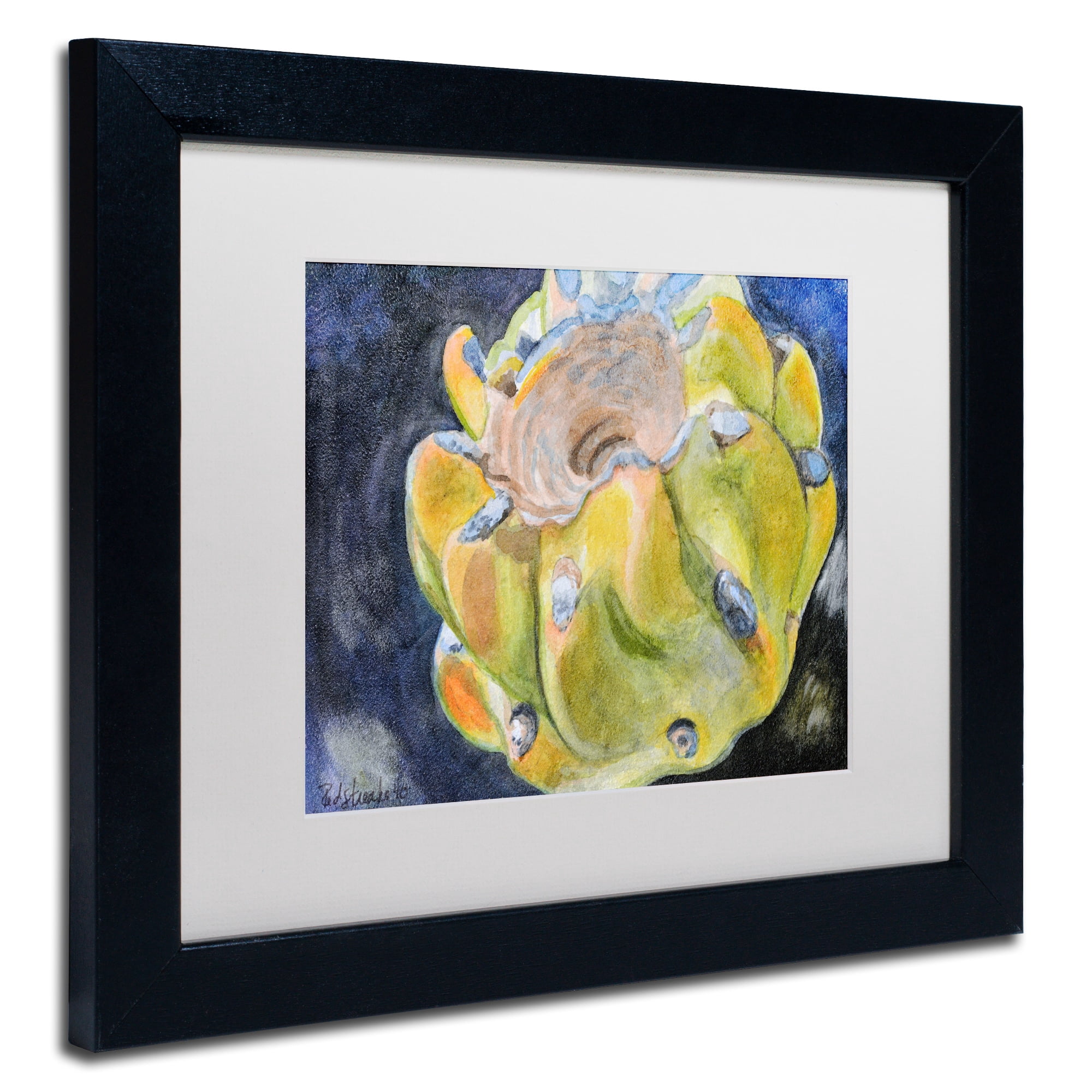 Trademark Fine Art "Cactus Fruit" Canvas Art by Jennifer Redstreake White Matte, Black Frame