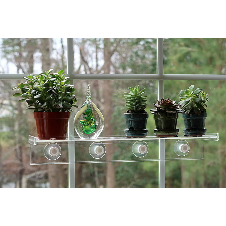 Suction cups for windows shelf – Urban Leaf
