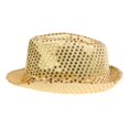 thumbnail image 3 of Sombrero Fedora de lentejues LED Sombrero de jazz Accesorios de disfraces para actuación en Adulto Macarena Sombrero de jazz, 3 of 8