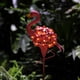 thumbnail image 3 of LED Solar Flamingo Garden Lights Liquidación Decoración Blanco cálido Impermeable 39 "Tierra Paisaje Iluminación para Courtyard Garden Party Calzada D Soledad Luz flamenco, 3 of 7