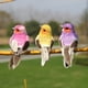 thumbnail image 5 of 12 Piezas de Pájaros Artificiales Macarena Decorativa 9 cm, 5 of 8