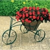 Woodstream Coropration TRCFP-B Tricycle Flower Planter