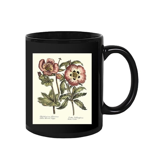 Framboise Floral Iv Mug - Sydenham Edwards Designs,
