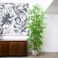 thumbnail image 5 of Nearly Natural 8ft. Artificial Green Bamboo Tree, 5 of 6
