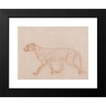 thumbnail image 2 of George Stubbs 14x11 Black Modern Framed Museum Art Print Titled - Tiger Body, Lateral View (1795 to 1806), 2 of 5