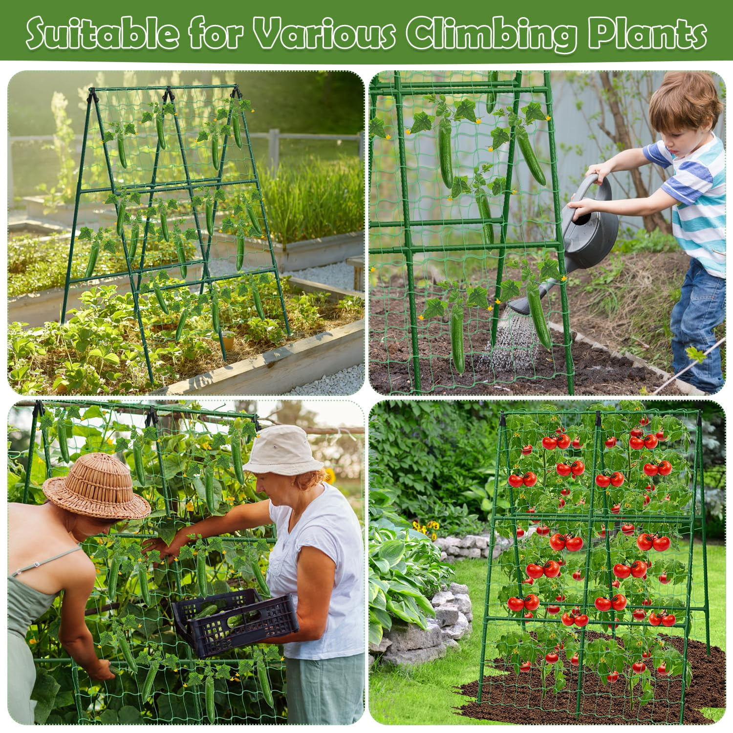 Cucumber Trellis For Raised Beds  31 X 47 Inch Adjustable Size A-frame Garden Climbing Plant Outdoors With Net And Support Clip Vegetable Grape Tomato Supplies