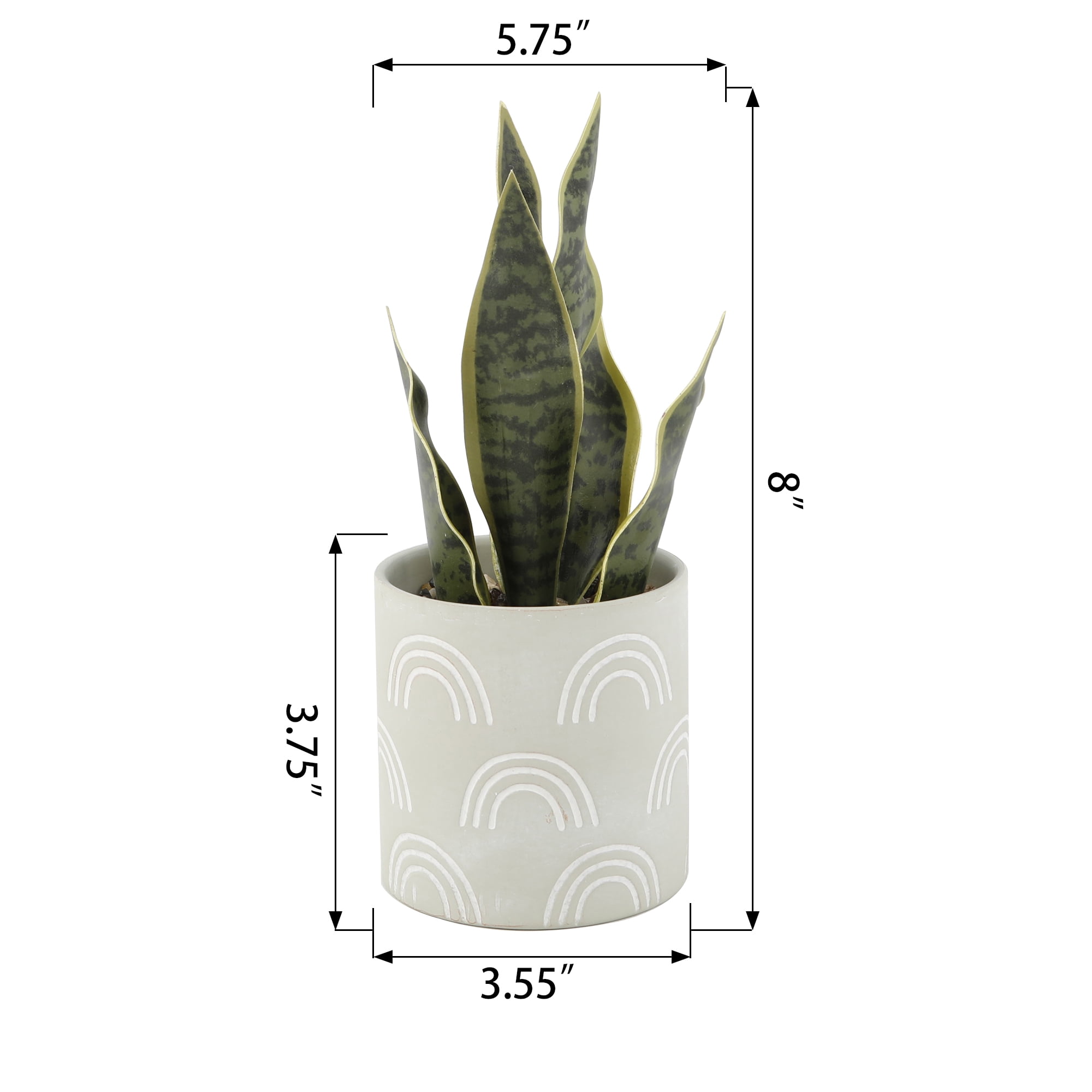 Mainstays 4 in Tabletop Artificial Snake Plant in Rainbow Print Terracotta Pot, Sage