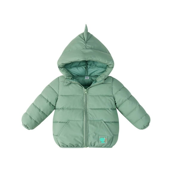 IVEYRTF Toddler Kids Boys Girls Winter Fleece Padded Jacket Hooded Zip Up Coat Warm Outwear Cute Ears for Fall Winter Clothes Soft Lined Breathable Comfortable(Green#1,2 Years)