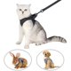 thumbnail image 4 of Arnés y correa para gato collar gatito ultraligero gato para caminar chaqueta para correr dulce y Afortunado Sencillez, 4 of 4