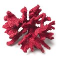 thumbnail image 1 of Ensemble de 4 Branches de Corail 3D Moyennes, 1 of 1