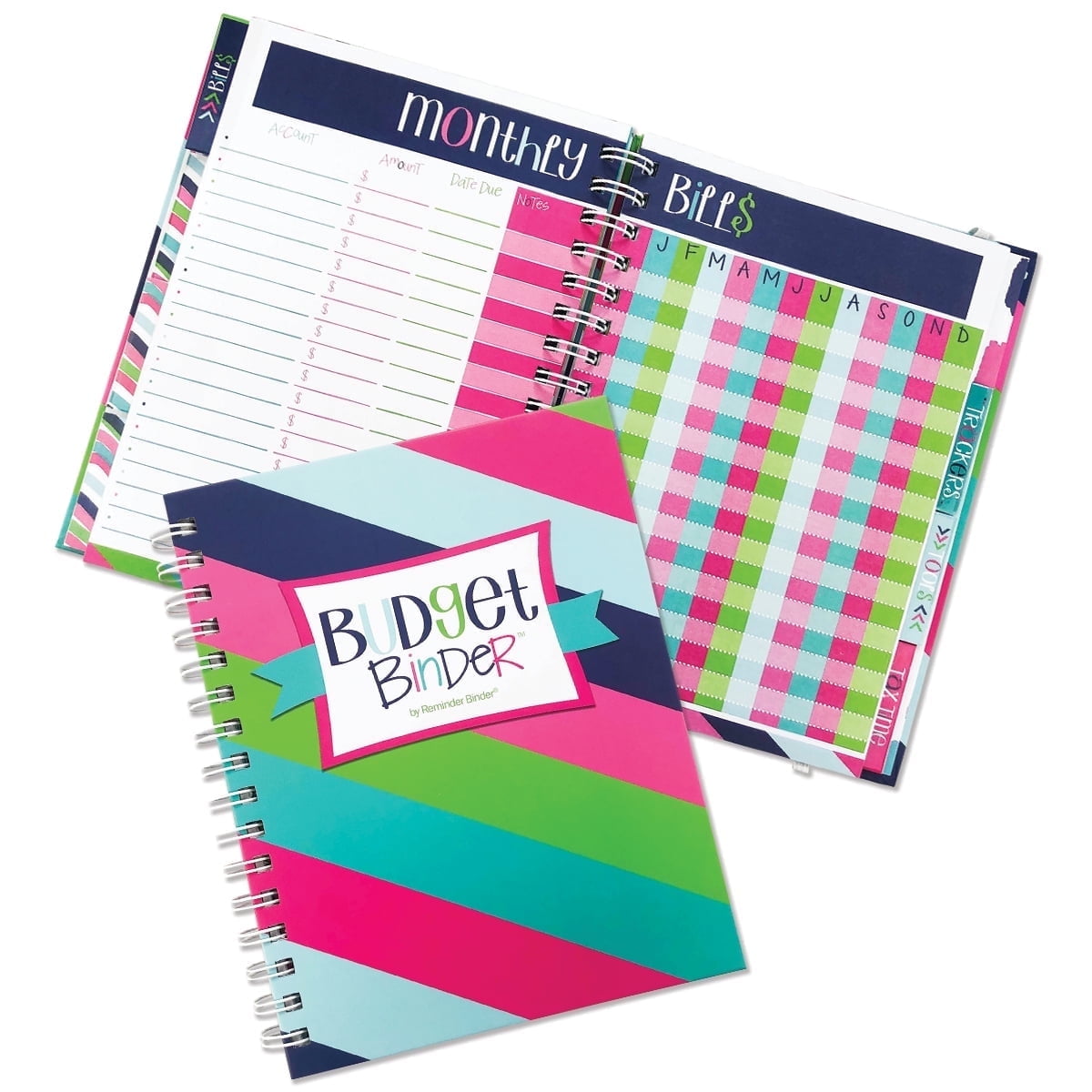 Budget Binder™ 12-Month Budget Planner and Finance Organizer with 354 Stickers, Non-Dated Monthly Bill Tracker by Denise Albright