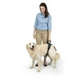 thumbnail image 3 of PetSafe CareLift Rear Support Harness for Pet Mobility & Older Dogs, Large, 3 of 7