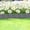 Grey, variant on Dvkptbk plastic fence Plastic Garden Fence Lawns Border Tree Ring Barrier for Landscaping Outdoor Yard Decorative Edged Grass Stones Separation Fence Panel