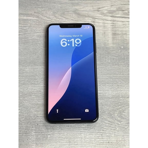Pre-Owned Apple iPhone XS Max 64GB Gray Unlocked
