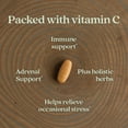 thumbnail image 4 of New Chapter Immune Defense Vitamin C + Elderberry, One Daily Tablet for Healthy Immune Support, 30 Veg Tabs, 4 of 8