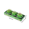 thumbnail image 3 of Dvruxg 3 Pcs Succulent Cactus Candles, Smokeless Scented Tealight Candles for Home Décor, SPA, Wedding, Valentine's Day, Birthday Gift, Anniversary Celebration, 3 of 4