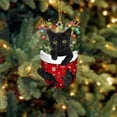 thumbnail image 3 of Festive Acrylic Pet Stocking Ornaments for Holiday Tree and Home Craft Hanging Decorations, 3 of 3