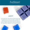 thumbnail image 4 of ScentSationals Scented Wax Cubes - Juicy, 4 of 4