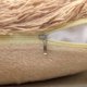 thumbnail image 3 of SZTXJ 2 pack Faux Fur Cushion Covers Fluffy Throw Pillow Case Soft Decorative Square Cute Pillow Plush For Livingroom Sofa Bedroom 18 Inch x 18 Inch 4, 3 of 5
