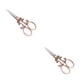 thumbnail image 1 of Scienceny Tijeras de sastre de amplia aplicación para proyectos de costura y costura Tijeras de bordado Bronce de moda bronce 2Conjunto, 1 of 6