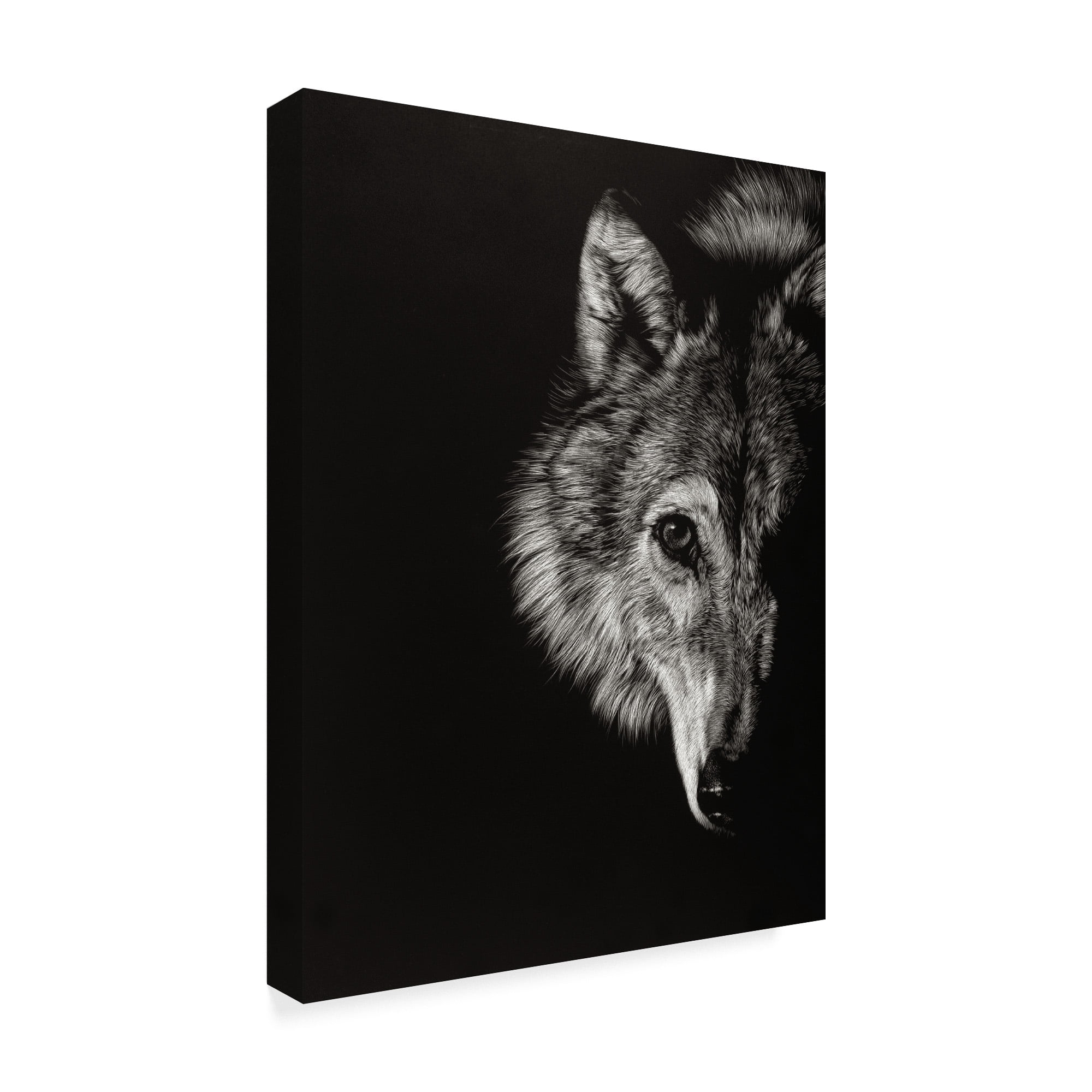 Trademark Fine Art 'Black Glimpse III' Canvas Art by Julie T. Chapman