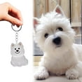 thumbnail image 2 of 7PCSCreative Dog Hair Collector Keychains Charm,Cute Storage Box for Pet Hairs,Mini Collecting Hair Bottle Keyring,Pet Lovers Memorial, 2 of 8
