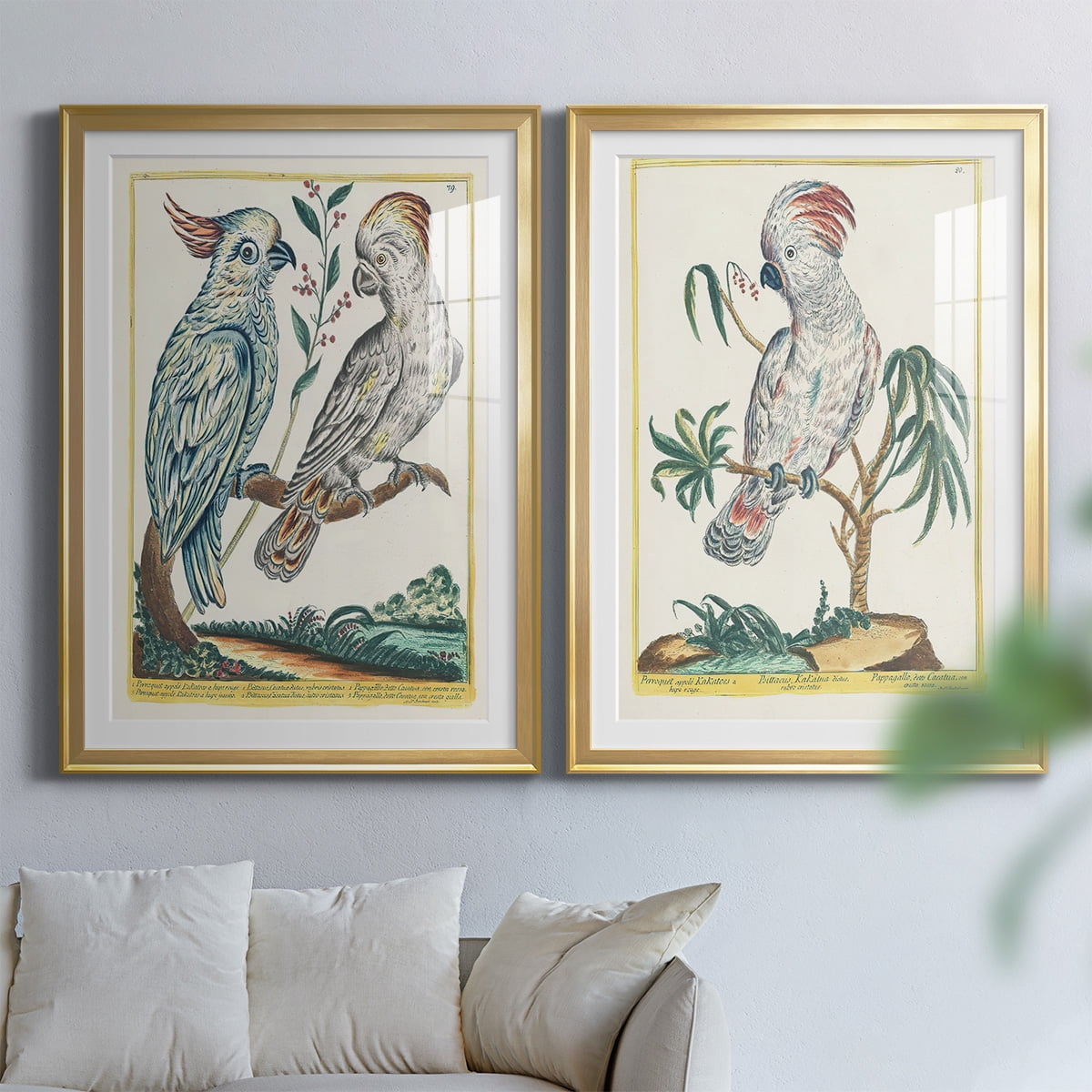 Wexford Home Pastel Birds I Premium Framed Print, 26.5" x 36.5" - Ready to Hang, Gold (Set of 2)