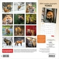 thumbnail image 2 of Canadian Geographic Foxes | 2026 12x24" (Hanging) Square Wall Calendar, 2 of 9