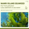 thumbnail image 4 of Spicy Kelp Seaweed Seafood Snacks Chinese Snacks Algae Individually Packed Ready to eat 7.68 Oz, 4 of 5