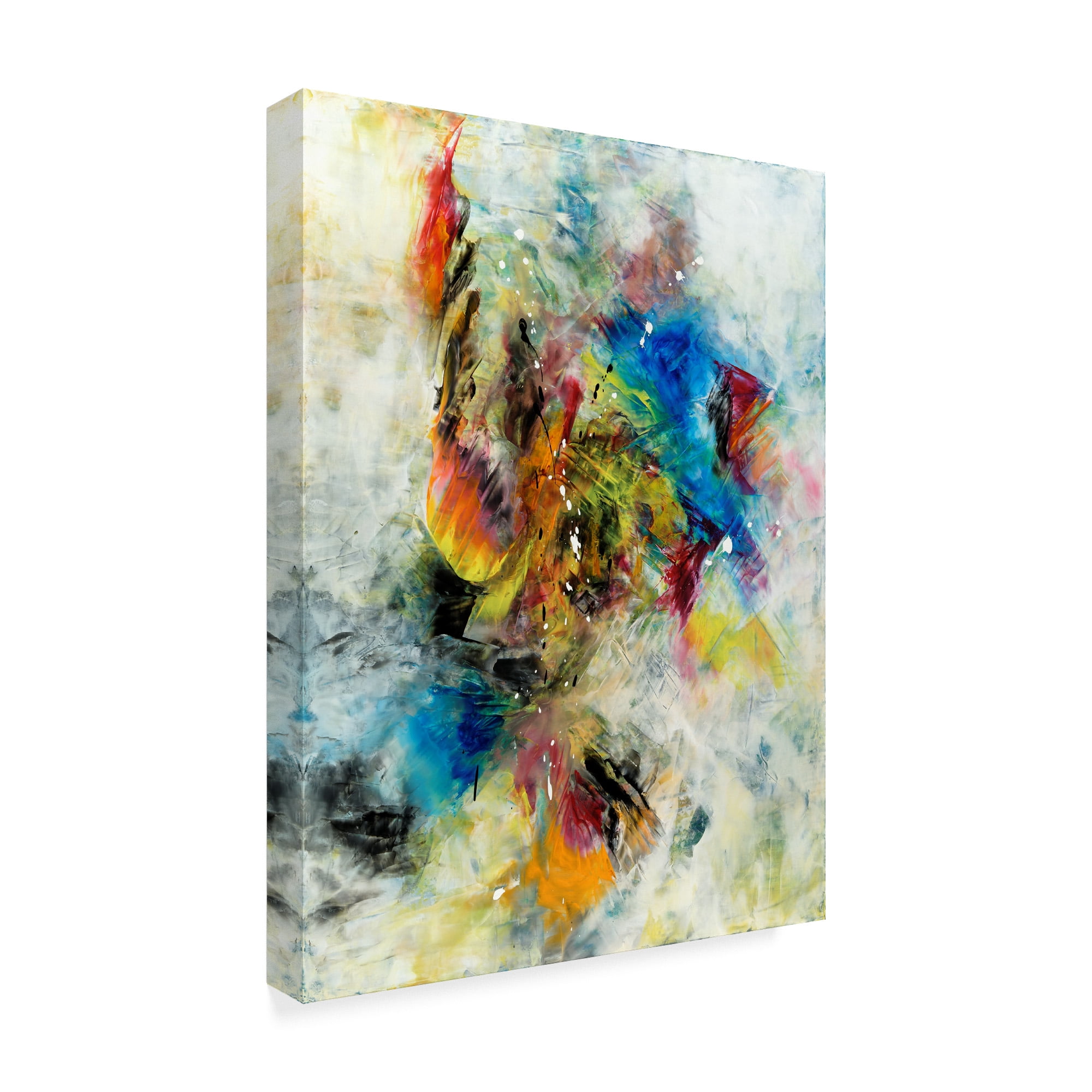 Trademark Fine Art 'Follow Your Dreams' Canvas Art by Aleta Pippin