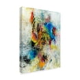 thumbnail image 2 of Trademark Fine Art 'Follow Your Dreams' Canvas Art by Aleta Pippin, 2 of 3