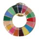 thumbnail image 1 of Sustainable Development Goals Brooch United Nations Sdgs Rainbow Pin Badge Medal Representative Brooch Jewelry, 1 of 5