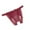 Wine Red, variant on Women Underwear Brief Lace Perspective Sensuality Crotchless Hollow Underpant