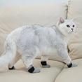 thumbnail image 4 of Breathable Mesh Cat Boots Anti-Scratch Paw Protectors,Soft Adjustable Cat Foot Covers for Bathing & Indoor Wear, 4 of 5