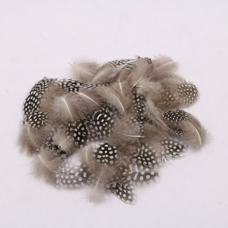 50 Pieces Guinea Fowl Feathers, Chicken Feathers, Feathers, Natural, Dotted Feathers for Crafting and Decorating Beige