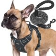 thumbnail image 1 of Arnés para perros Beebiepet Heavy Duty Tactical para perros medianos, 1 of 5