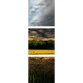 thumbnail image 2 of Great BIG Canvas Phil Koch Poster Print entitled Drought, 2 of 2