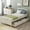 White, variant on Alvantor Twin Size Wood Platform Bed with 2 Drawers & Headboard, Modern Bed Frame for Kids White