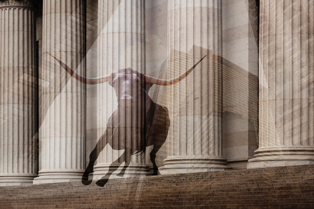 Bull Money Wall Street Columns 100 Dollar Bill Photo Photograph Cool