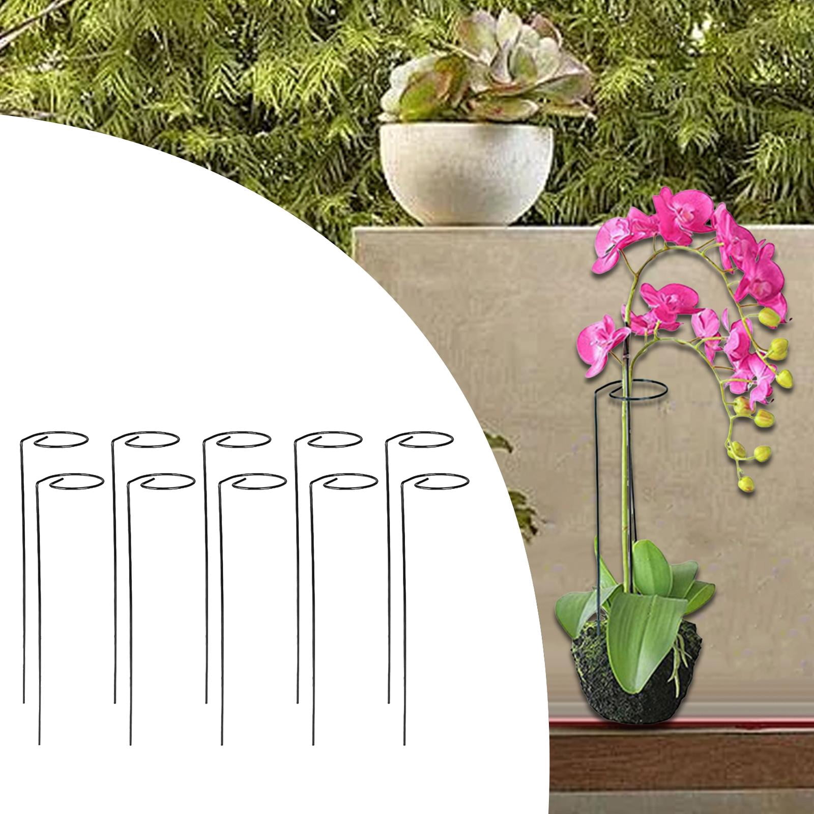 Zxpjkyu Climbing Plant Stakes Plant Support Towers Supplies Space Saving Easy to Install Straight 10pcs
