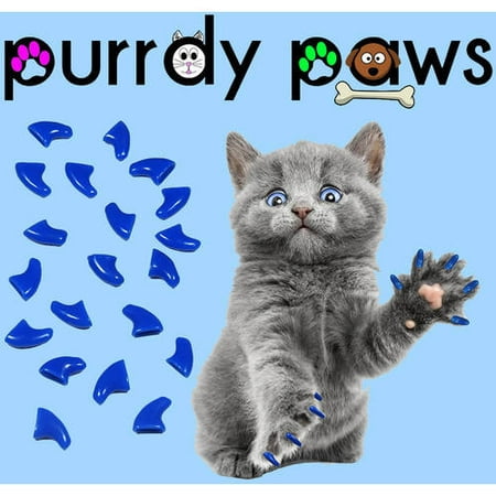 Purrdy Paws Soft Nail Caps pour chats, 40-Pack, chaton bleu
