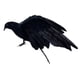 thumbnail image 4 of Cuervos con Plumas Negras, Pájaros, Cuervos Artificiales, Accesorios, Decoración de de Halloween, 4 of 9